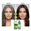 IMG-20260828-WA0036 شامبو صبغة الجرجير ديسار (Disaar Watercress Bubble Dye Shampoo - Natural Black 1.0)